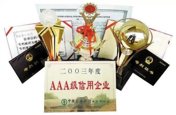 企業(yè)榮譽(yù)